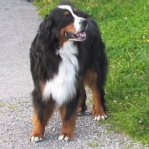 Meet your Posher, Stefan